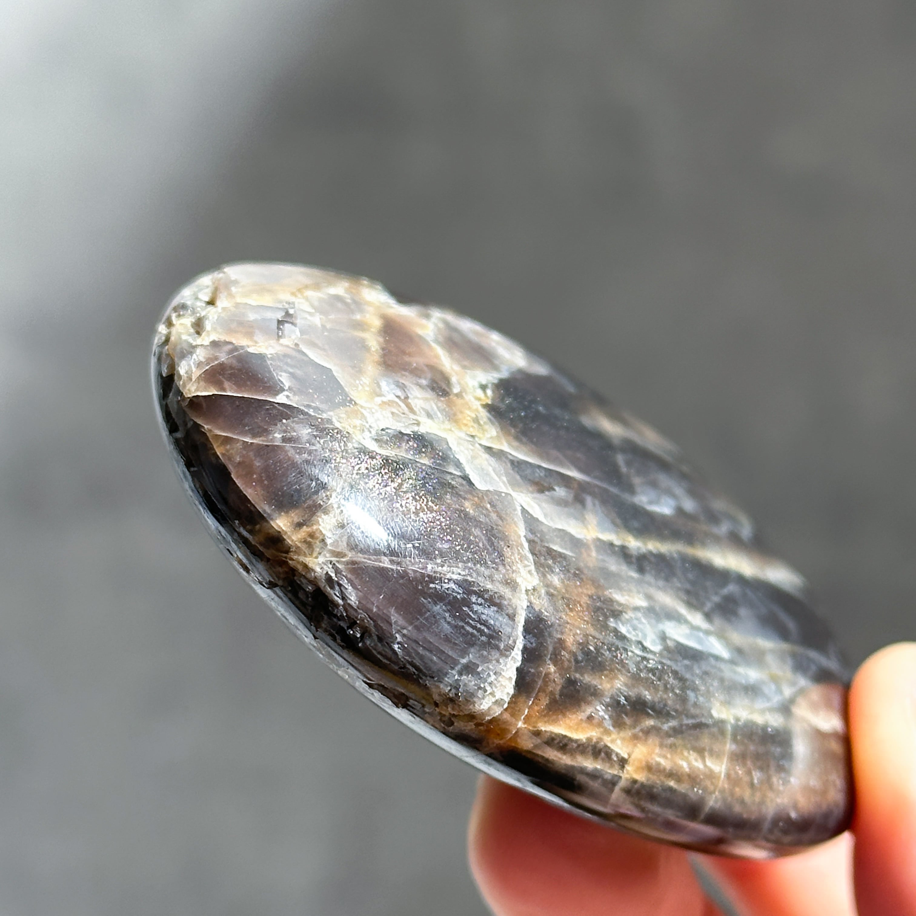 ブラックムーンストーン パームストーン11◇ Black Moonstone ◇天然石