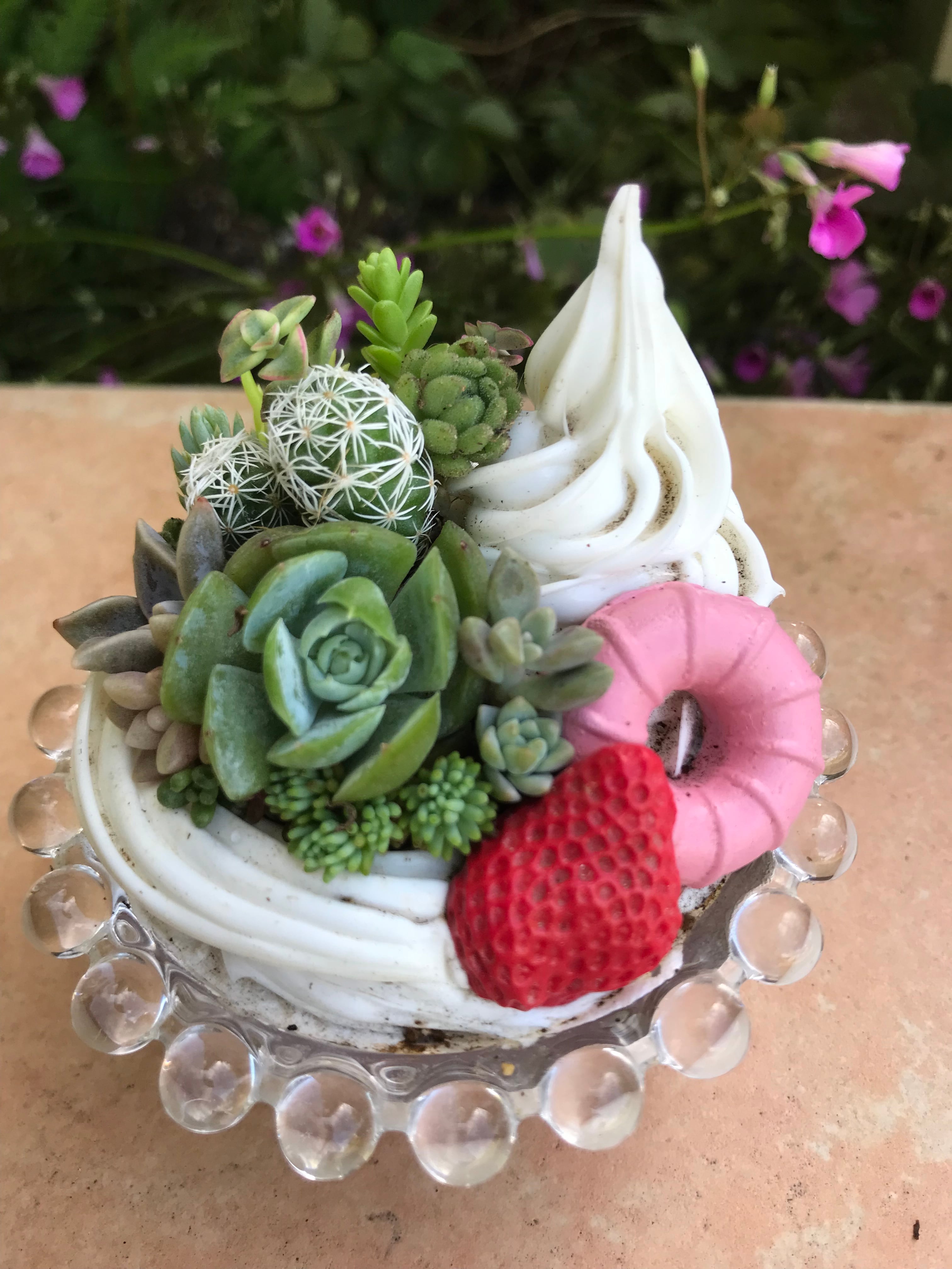 ♥️モルタル製ケーキ鉢♥️多肉植物寄せ植え