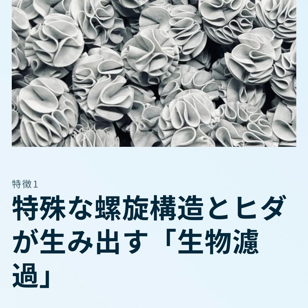 フジノスパイラル 1L 【元祖スパイラルろ材】正規品 | HOUSE REEF