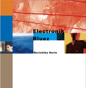 Norichika Horie / Electronik Bluez