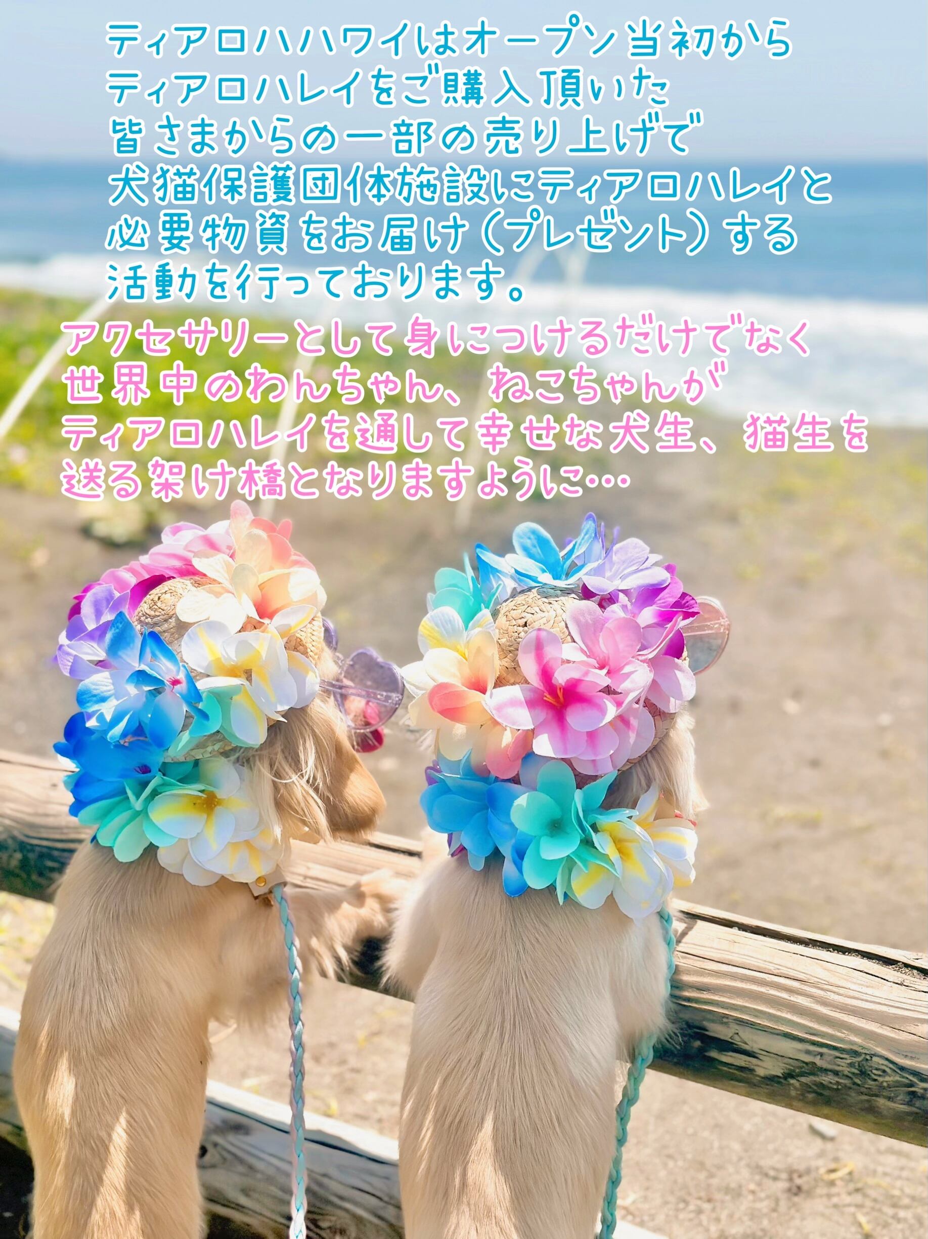 大型犬猫L 限定ティアラ