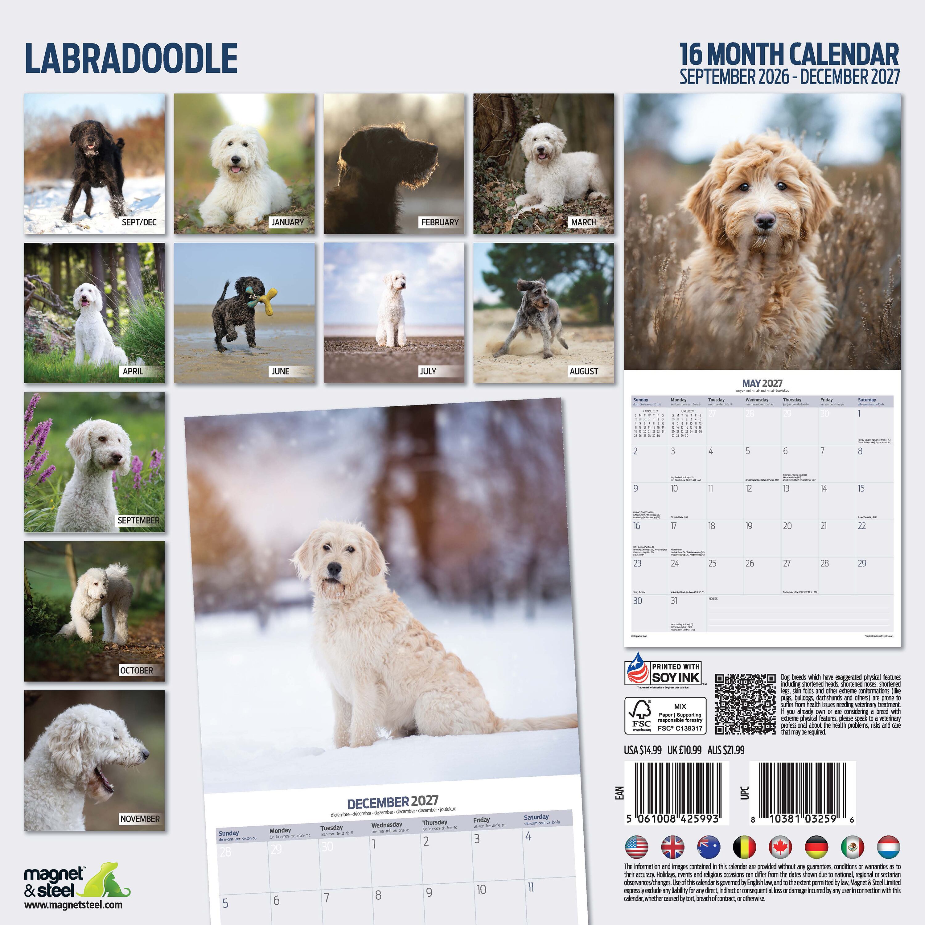 【2027年版】英国製犬種カレンダー【ラブラドゥードル】Traditional 2027年版