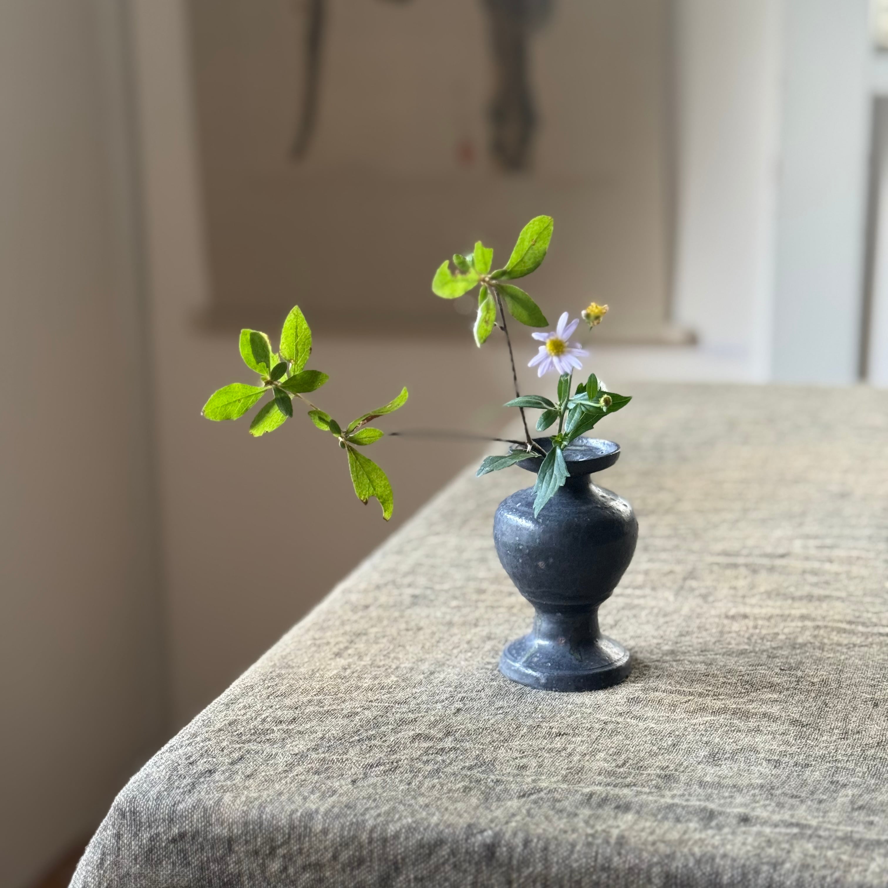 日高伸治 青白磁蓋付薬壺 中 | gallery 一白