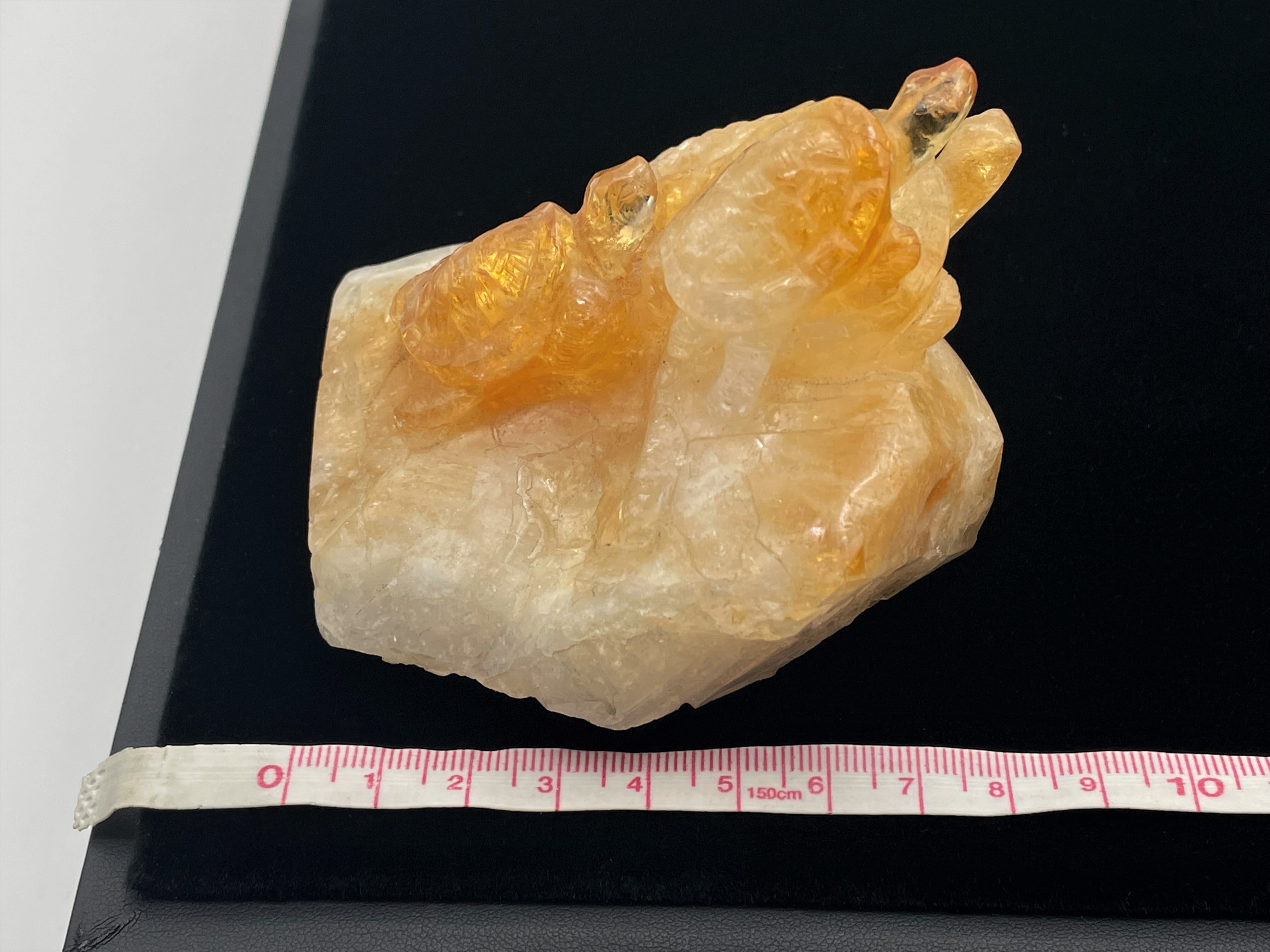 亀型（シトリン） 亀型（シトリン） | DantaliaN