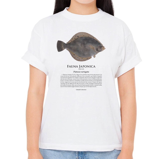 【ホシガレイ】シーボルトコレクション魚譜Tシャツ（高解像・昇華プリント）