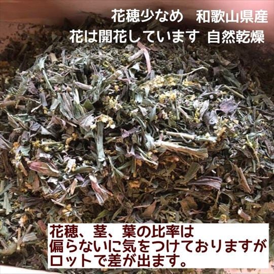 セイタカアワダチソウ 自然乾燥350g 和歌山産 薬草布袋付き セイタカアワダチソウ 自然乾燥350g 和歌山産 薬草布袋付き