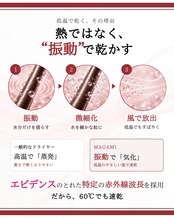 【1週間前後でお届け】毎日のドライを、電子美容に。 電子美髪スタートセット
