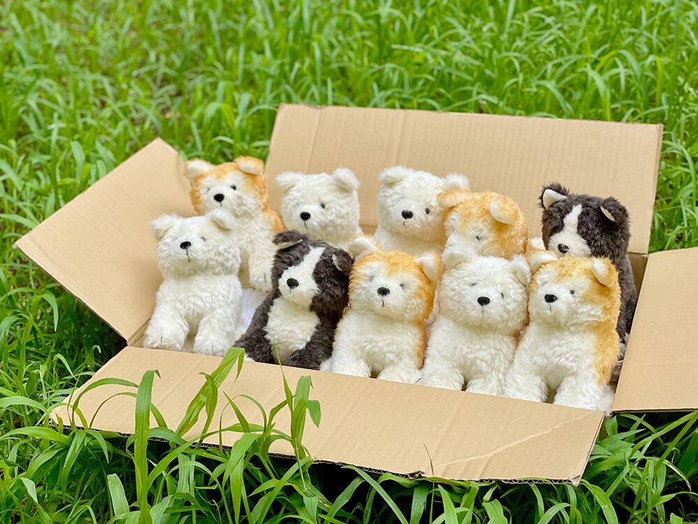 秋田犬わんこ 赤毛 | もふいぬ