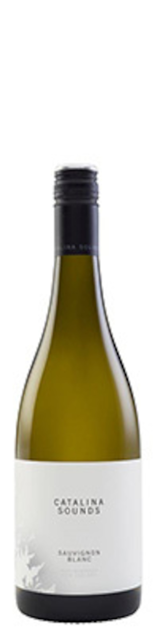 カタリナ・サウンズ・ソーヴィニヨン・ブラン　２０ Ｃａｔａｌｉｎａ　Ｓｏｕｎｄｓ　Ｓａｕｖｉｇｎｏｎ　Ｂｌａｎｃ　Ｓ＇２０