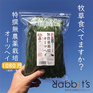 【NO１】特撰無農薬栽培オーツヘイ70g