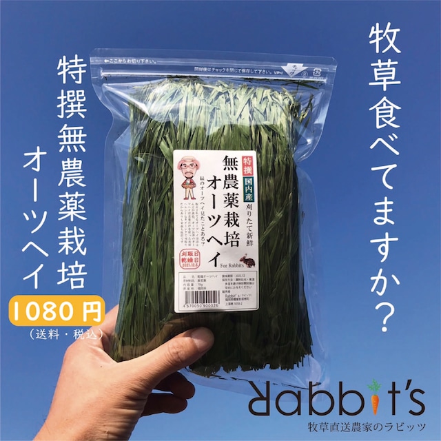 【NO１】特撰無農薬栽培オーツヘイ70g