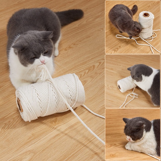 Yangbaga キャットタワーロープ6mm白綿縄 爪研ぎ 爪とぎ用 猫タワー キャットウォーク キャットタワー用 キャットクライミングフレームの修理の代替品 手作り DIY 園芸（50M）