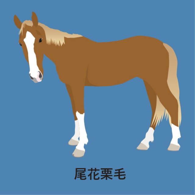 《袖口に馬》半袖ドライポロシャツ／ターコイズ