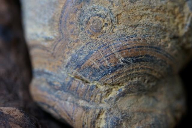ゴビアゲート Gobi Desert Eye Agate　土偶