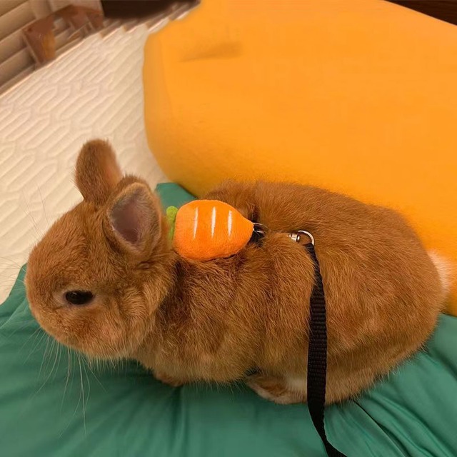 【RABBIT】3種類展開柔らかい可愛いキャロット型デザイン牽引ロープ