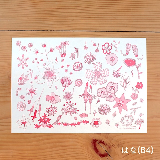 【CHIQON】つつみ紙 B4サイズ「はな」