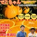 でこちゃん　8-9大玉