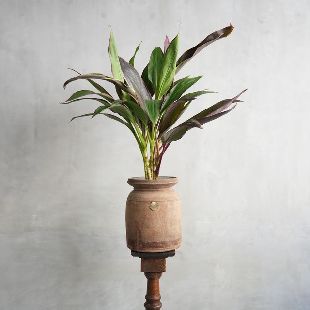 VINTAGE WOODEN POT W/GLASS CYLINDER　J-0220