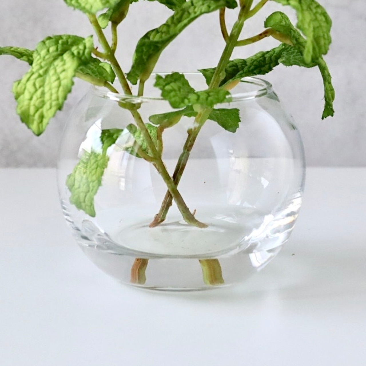 ミント フェイクグリーン 造花 観葉植物 ガラス花瓶 卓上グリーン ミニ観葉植物 インテリア H約15cm