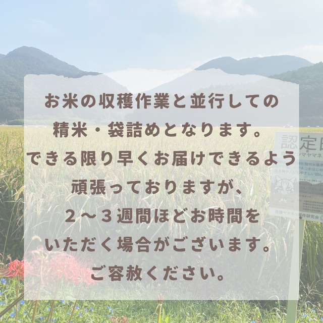 【3合袋30個セット 】佐護ツシマヤマネコ米