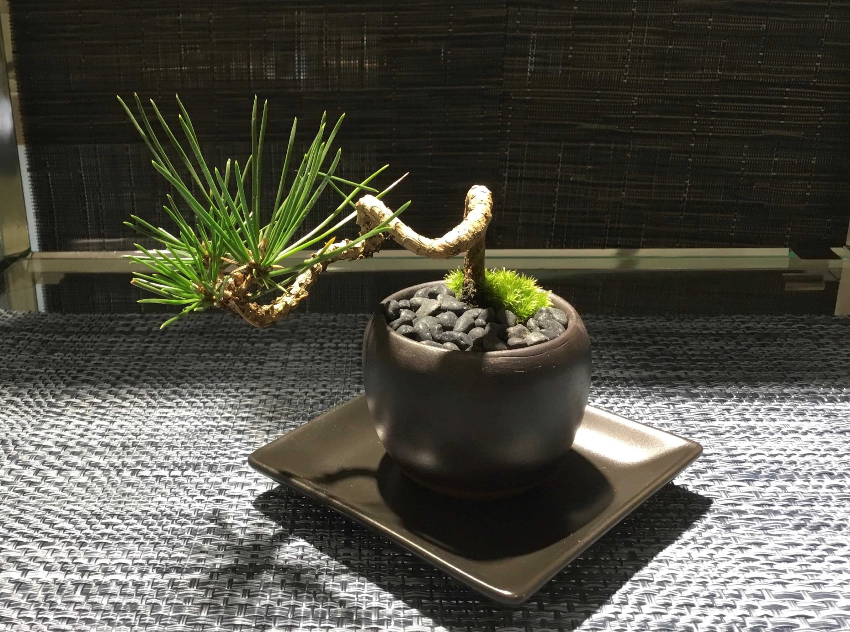 e7afcaffcfed9c476e47a0b22b0de0