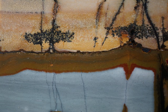 チェリークリーク・ジャスパー　Cherry Creek Jasper 932