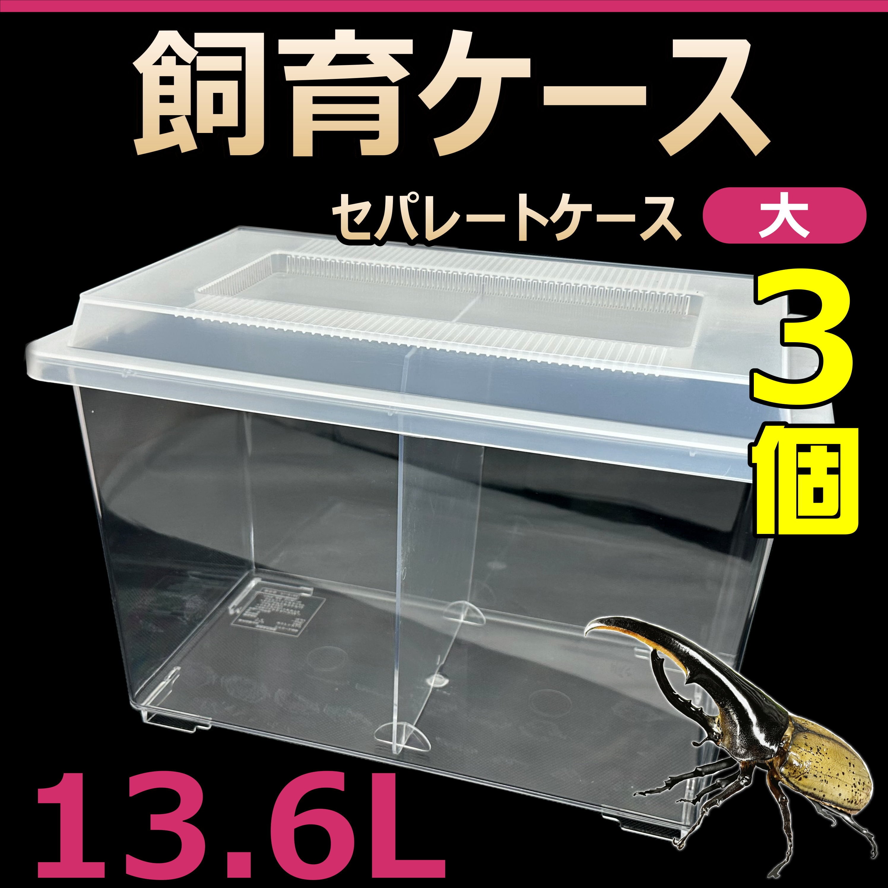 幼虫＋飼育(産卵)セット｜ オオクワガタ幼虫・カブトムシ（ヘラクレス 