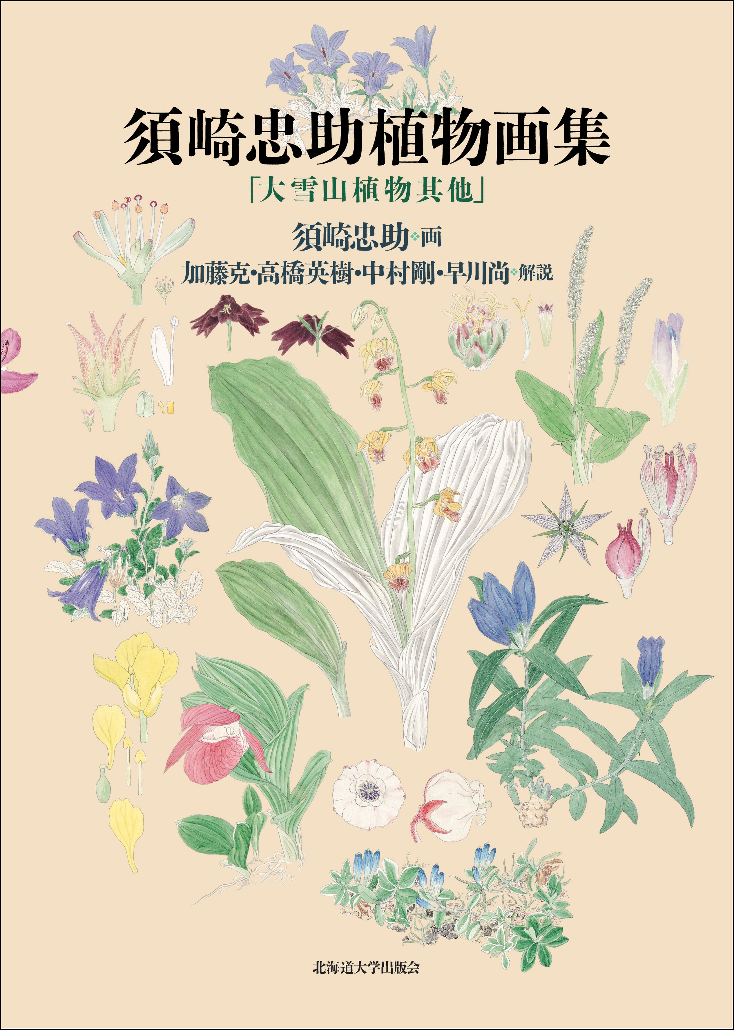 須崎忠助植物画集ー「大雪山植物其他」 | 北海道大学出版会