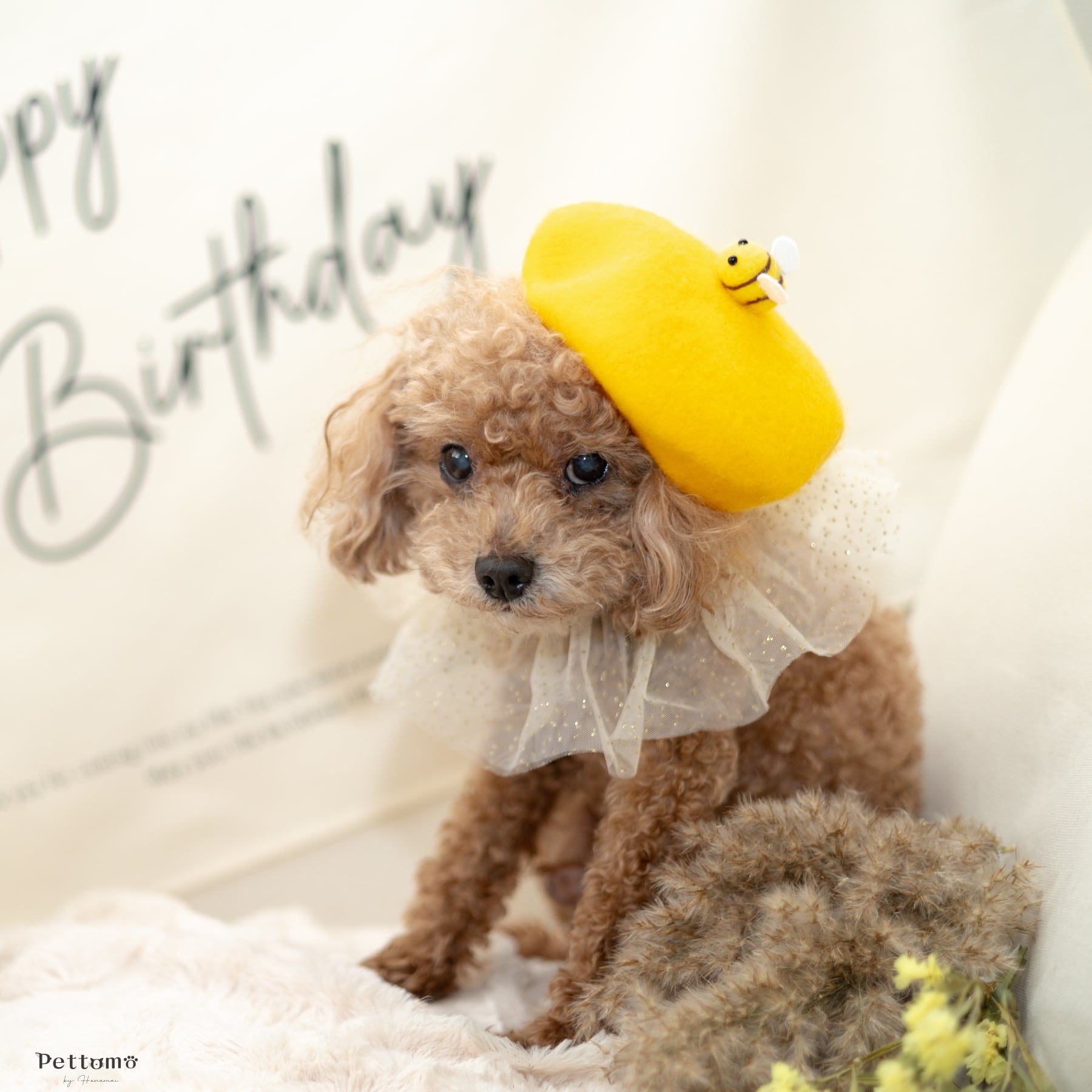 Pettomo ペット用 ベレー帽 犬 猫 帽子 ハット 調節可能 | 公式 party