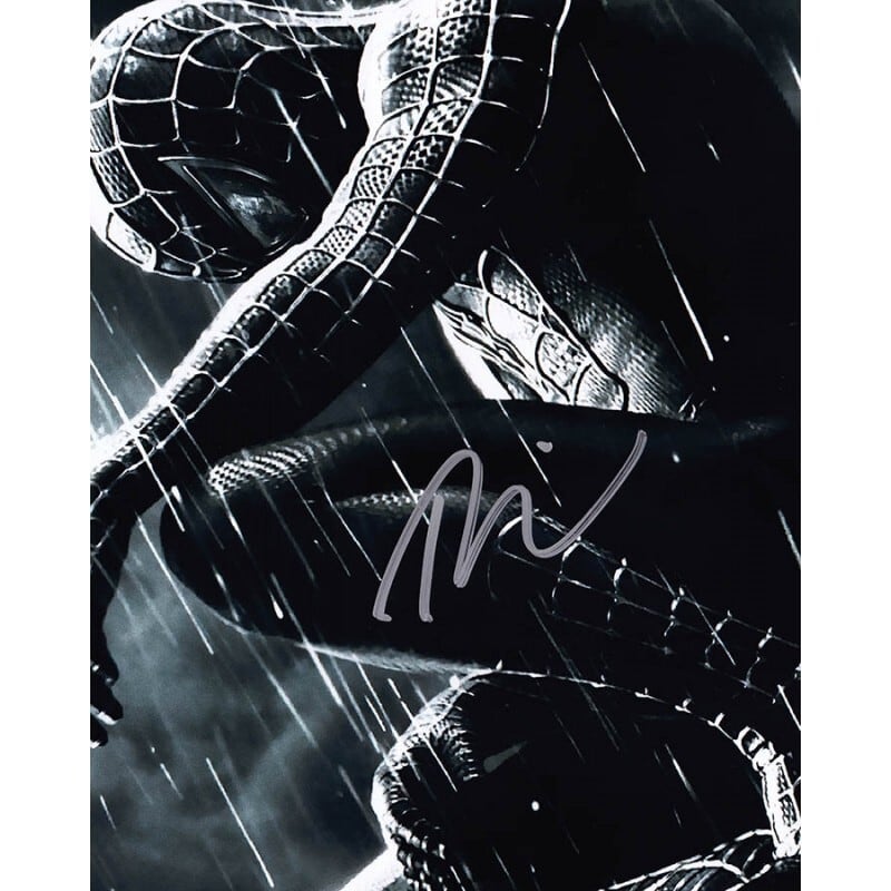 原画寸 スパイダーマン マクファーレン直筆サイン 38.5✕55cm 限定300 原画寸 スパイダーマン マクファーレン直筆サイン 38.5✕55cm 限定300