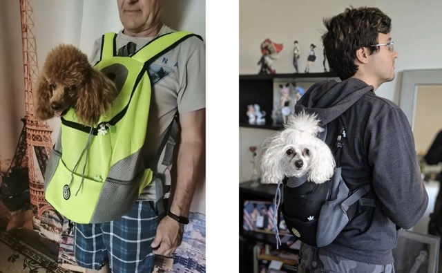 顔出しドッグキャリア　Ｌサイズ（3.6kg〜6.8kg)　グリーン