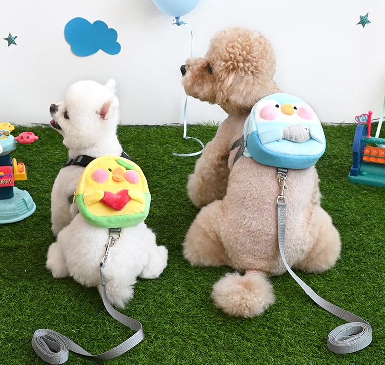 ZOOハーネス&リードセット ver.2 / 犬 犬用 ハーネス 小型犬 中型犬