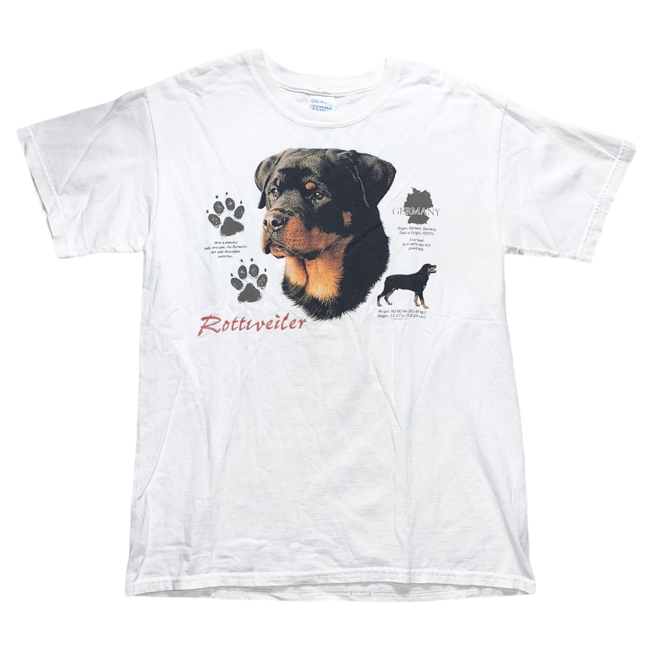 vintage ROTTWEILER print tee