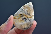 Dendritic Agate Pear Shape Cabochon