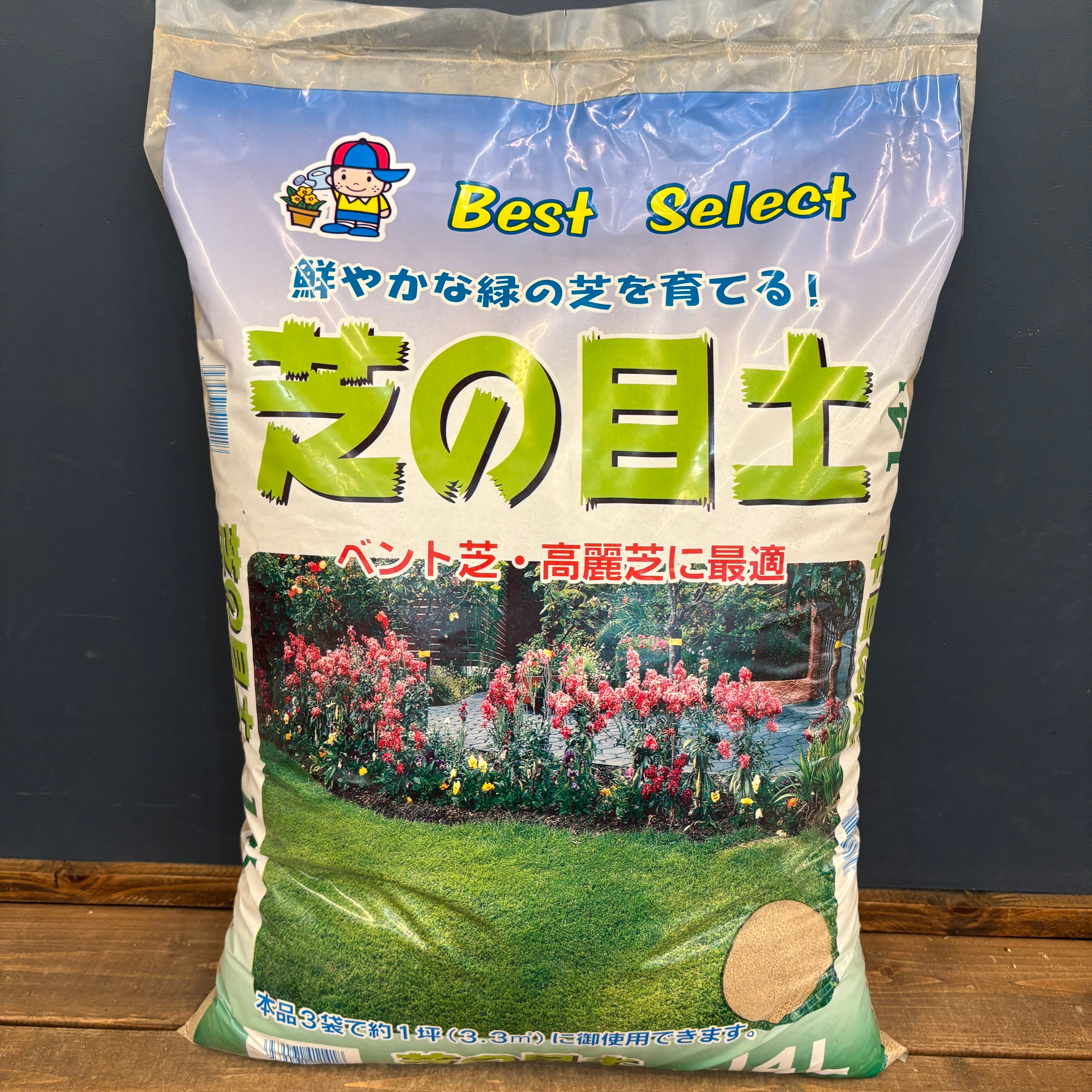 プロトリーフ クンシランの土 5L ×10袋