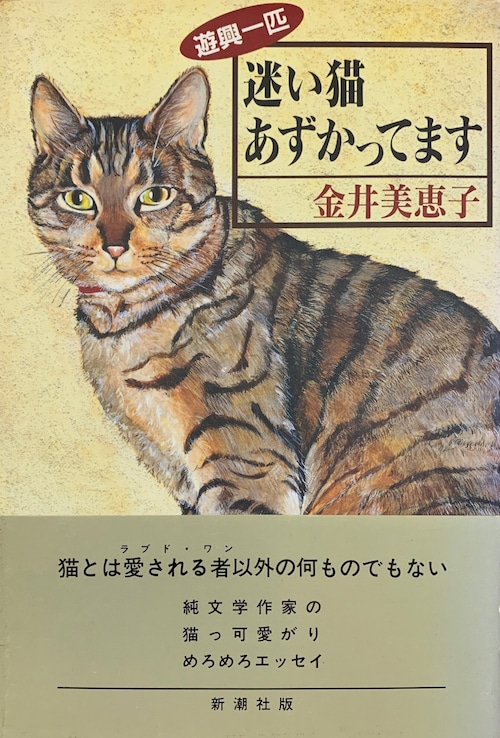 迷い猫あずかってます（単行本）（帯付き）