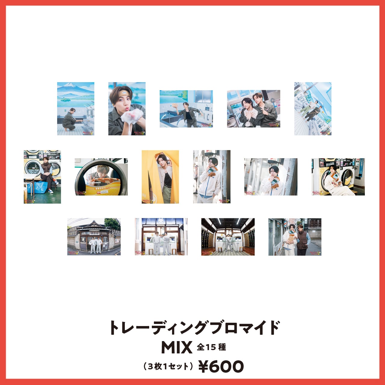 トレーディングブロマイドPAIR全24種（3枚1セット） | WanNya Shop