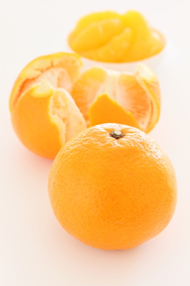 いよかん　10㎏ 家庭用　【５０２】