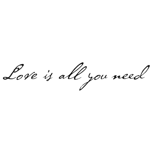 iBy アイバイ ウォールステッカー 名言 Love is all you need 愛さえあれば 黒 光沢 ステッカー シール 名言 ウォールステッカー 壁紙シール 日本語説明書付