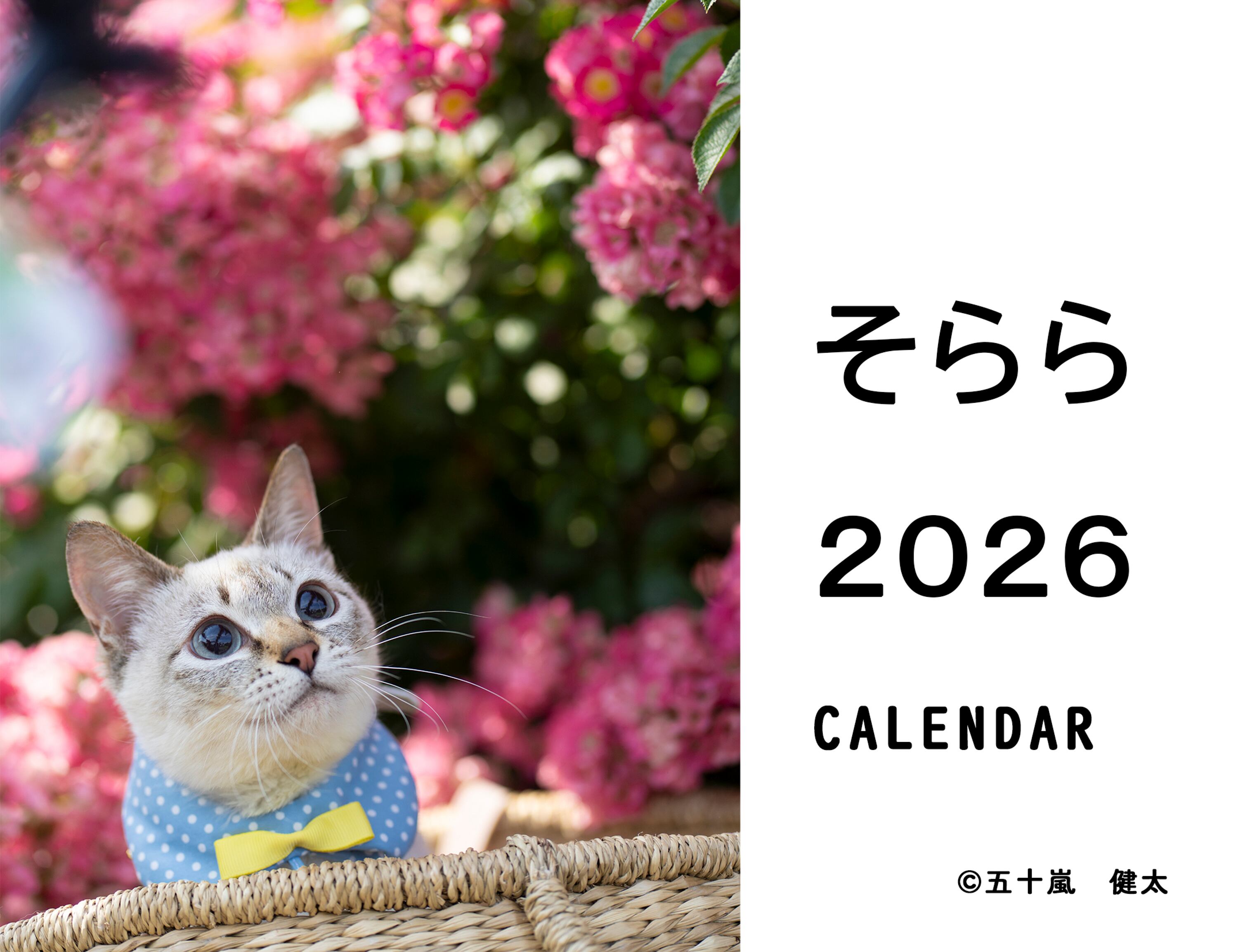 e7c6241e31e9dd48b3de0a44a027cf