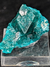 ダイオプテーズ Tsumeb Mine, Oshikoto Region, Namibia AS92800127