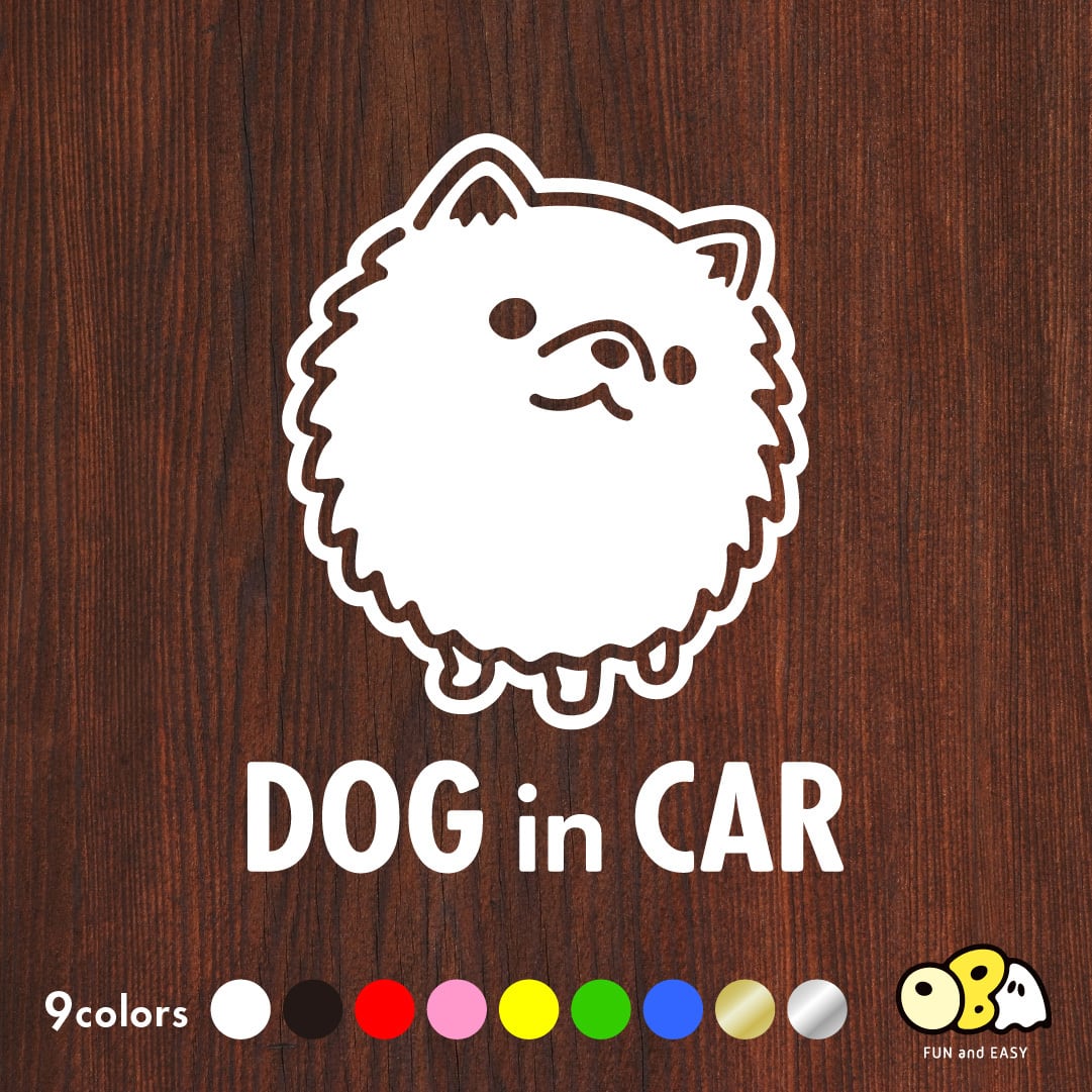 マルプー（マルチーズ×トイプードル）／DOG IN CAR カッティング