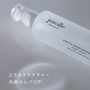 lotion トウキ葉と米糠 / 120mL