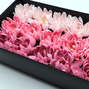 ダリアD-MIX3ピンク(15輪入り)