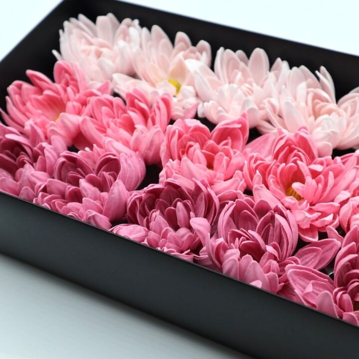 ダリアD-MIX3ピンク(15輪入り)