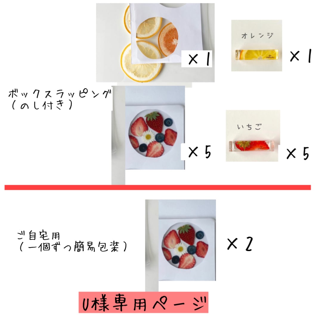 専用ページU様　コースター《グレープフルーツ×1いちご（ベリー系）×7》　箸置き《オレンジ×1いちご×5》　BOXラッピング（のし付き） |  astin muhler | 押しフルーツスマホケースで通話姿も美しく