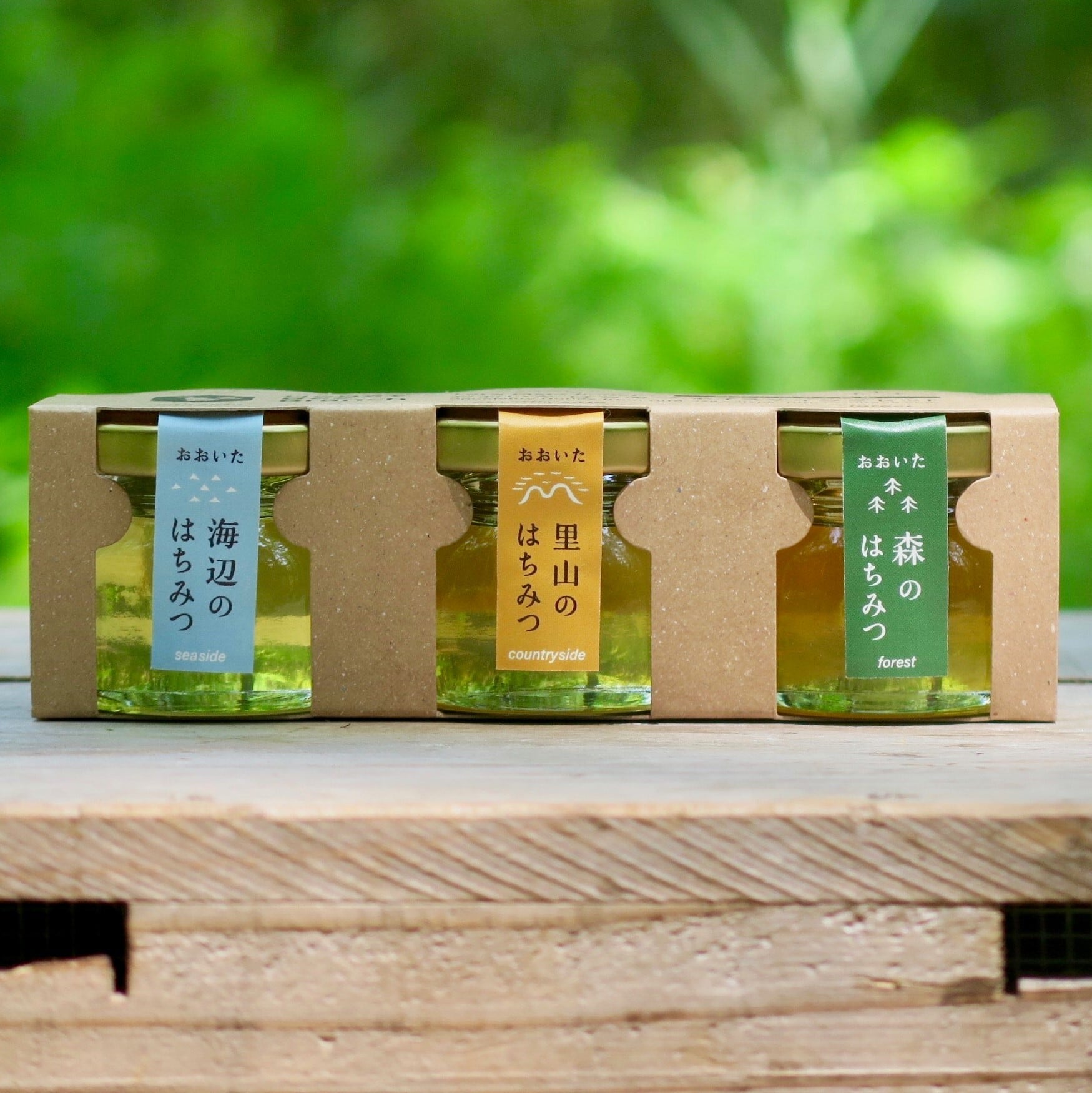 おおいたはちみつテイスティングセット 32g×3 | HoneyBeeBranch