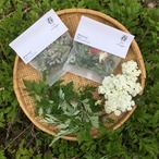 季節限定ハーブティー「春」