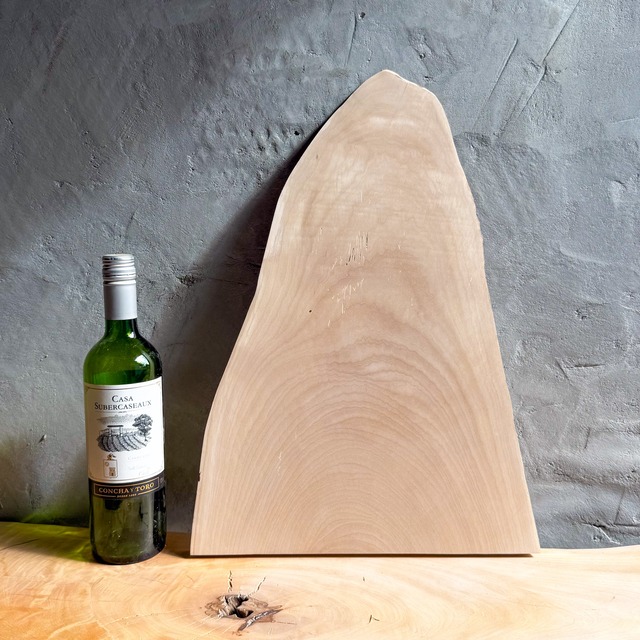 No.278 ： ホルトの木