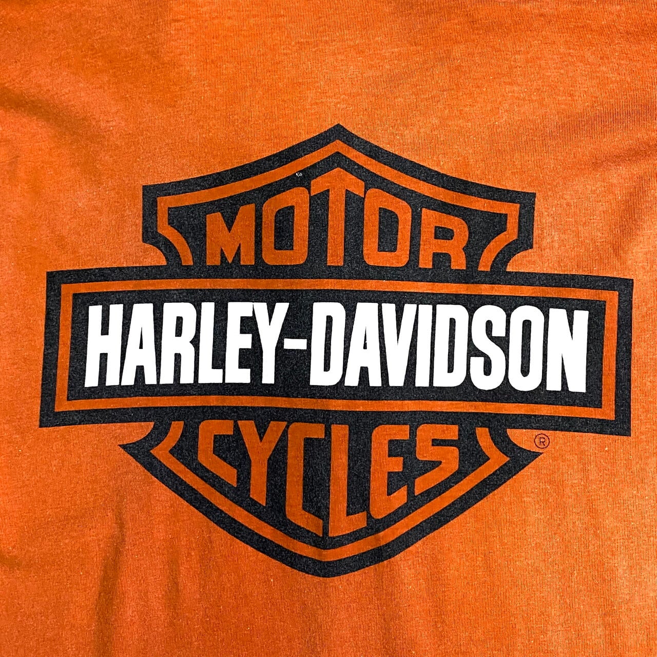 レアデザイン ビッグサイズ Harley-Davidson ハーレーダビッドソン 襟